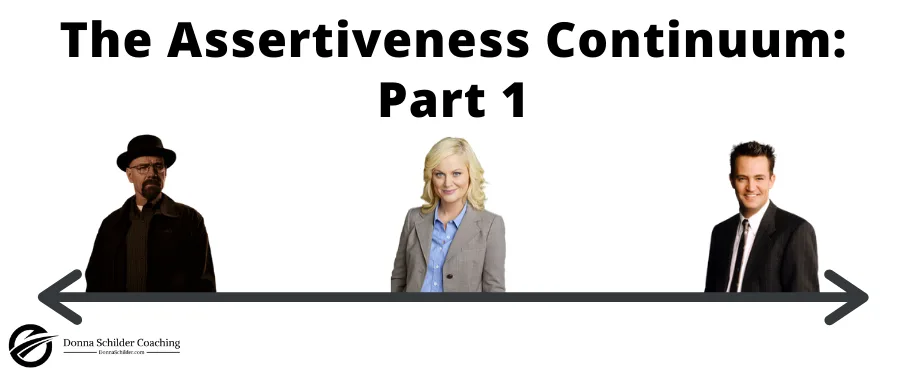 The Assertiveness Continuum Part 1 The Assertiveness Continuum Part 1