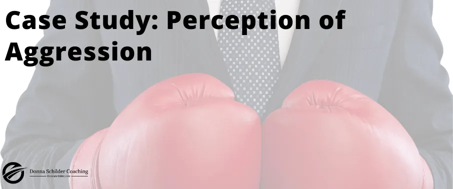 Case Study: Perception of Aggression Case Study: Perception of Aggression