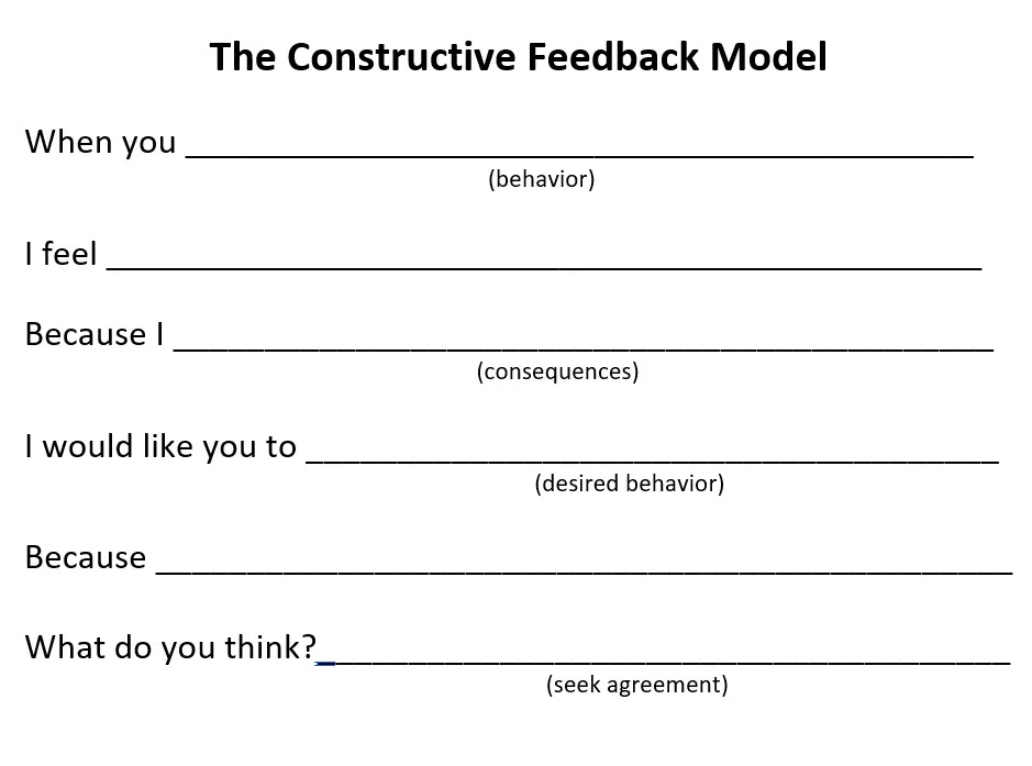 The Constructive Feedback Model The Constructive Feedback Model